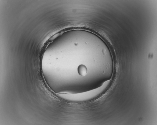 X0000111390781200907241332