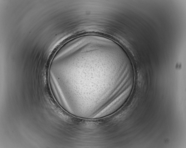 X0000111390782200907241332