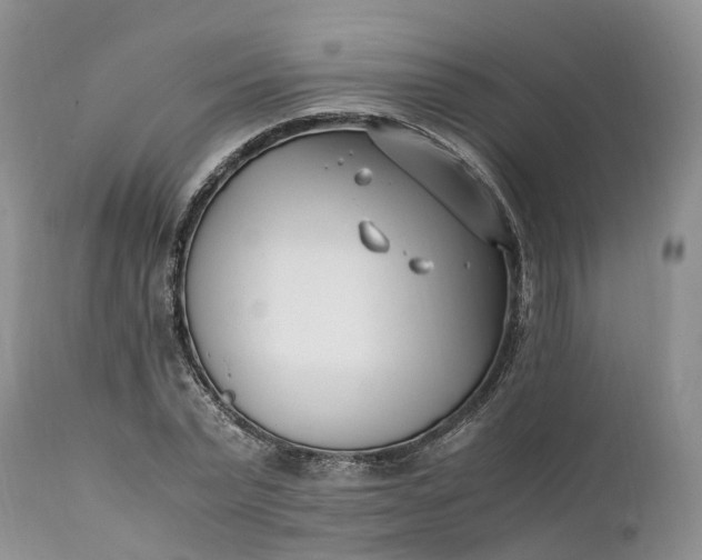 X0000111390783200907241332