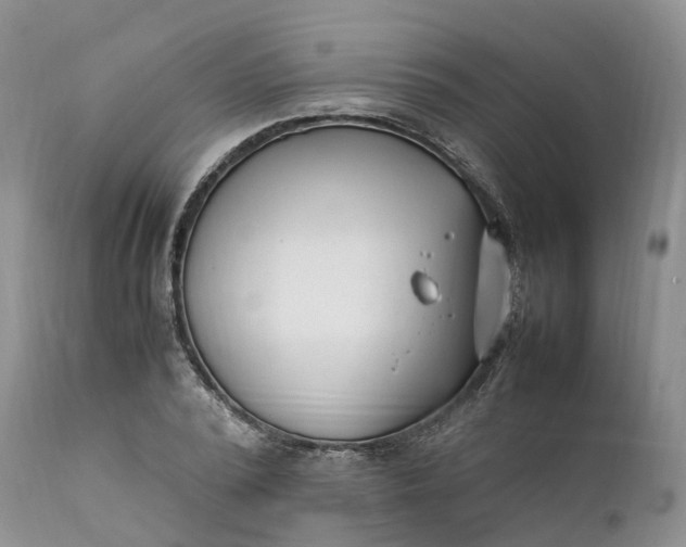 X0000111390784200907241332