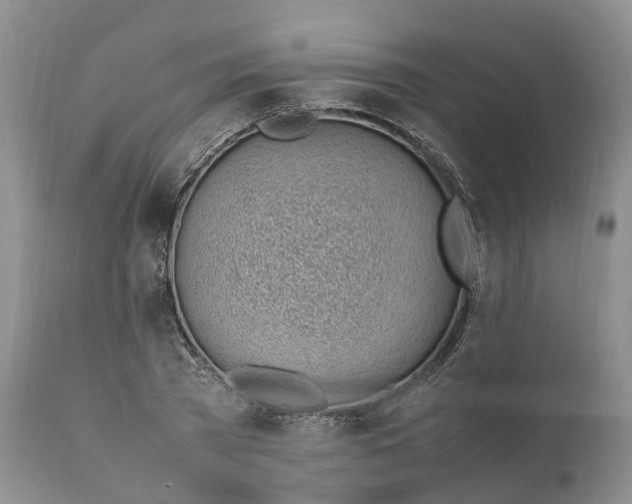 X0000111390785200907241332