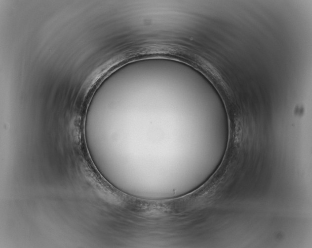 X0000111390786200907241332