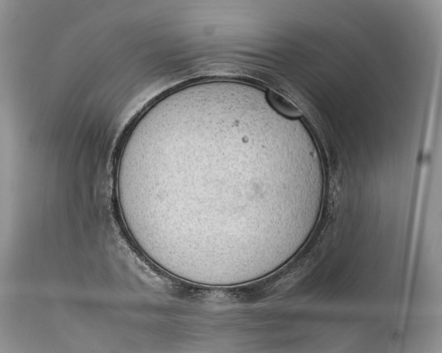 X0000111390787200907241332