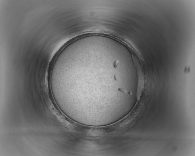 X0000111390788200907241332