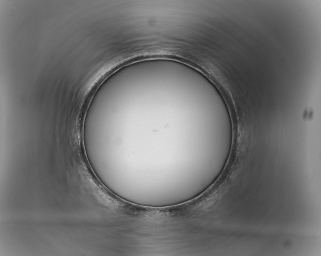 X0000111390789200907241332