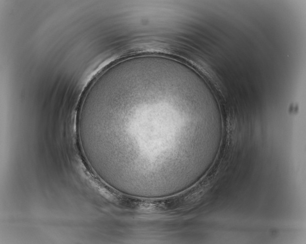 X0000111390790200907241332