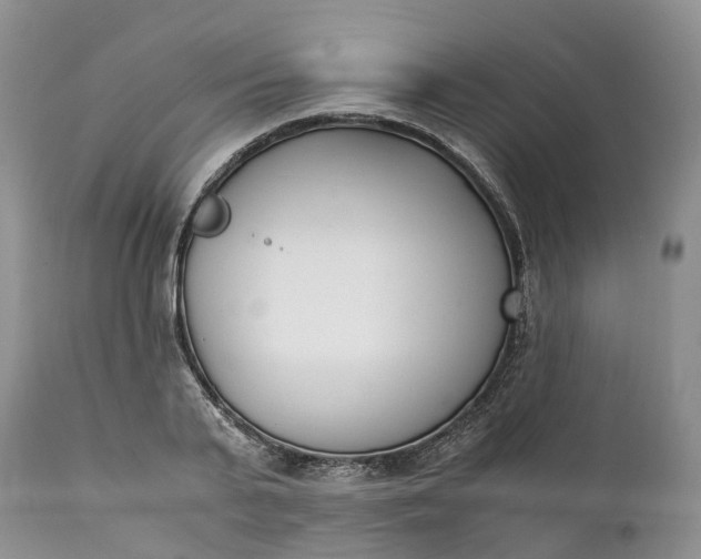 X0000111390791200907241332