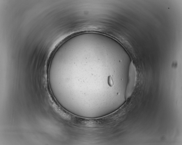 X0000111390792200907241332