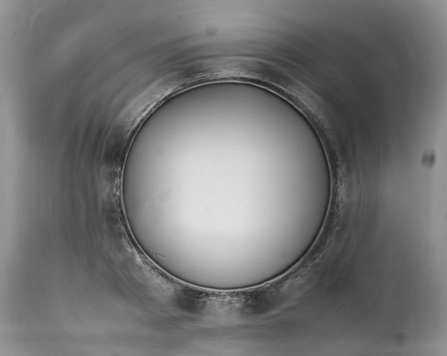 X0000111390793200907241332