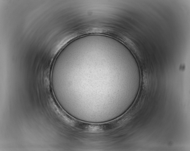 X0000111390794200907241332