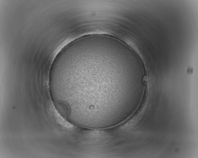 X0000111390797200907241332