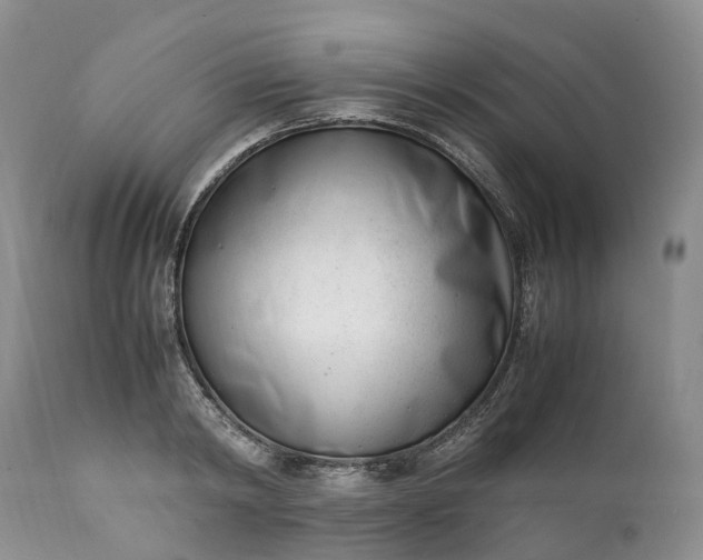 X0000111390798200907241332