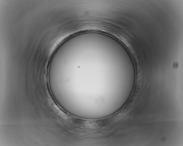 X0000111390799200907241332