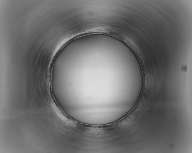 X0000111390800200907241332