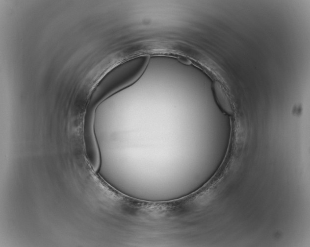 X0000111390801200907241332