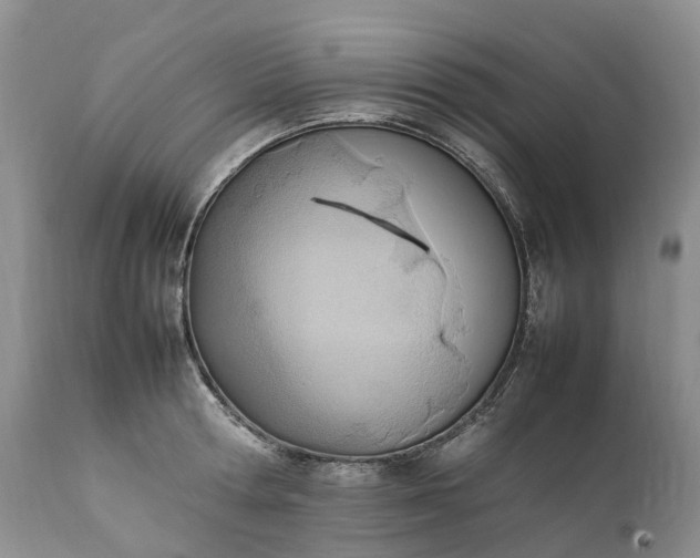 X0000111390802200907241332