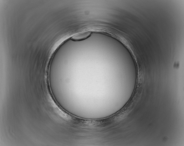 X0000111390803200907241332