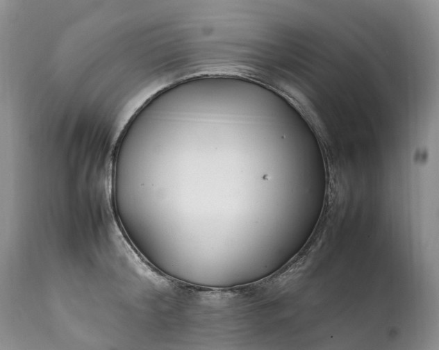 X0000111390804200907241332