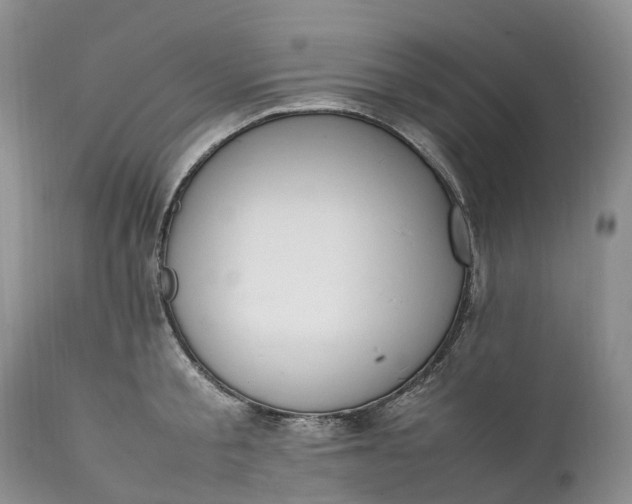 X0000111390805200907241332