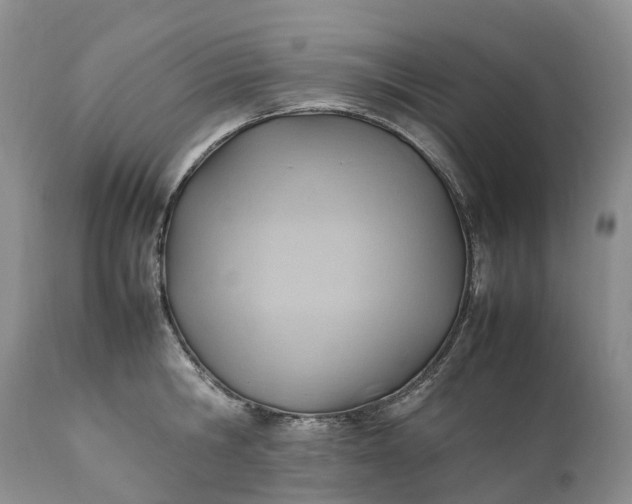 X0000111390806200907241332