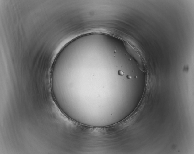 X0000111390808200907241332