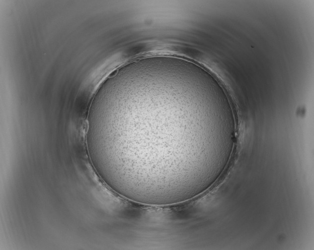 X0000111390809200907241332