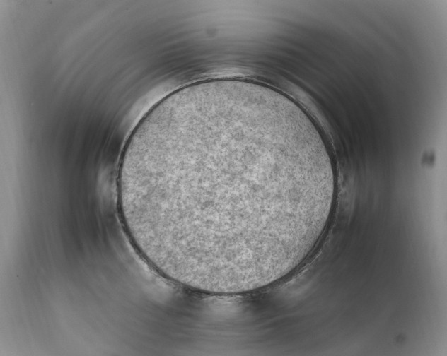 X0000111390810200907241332