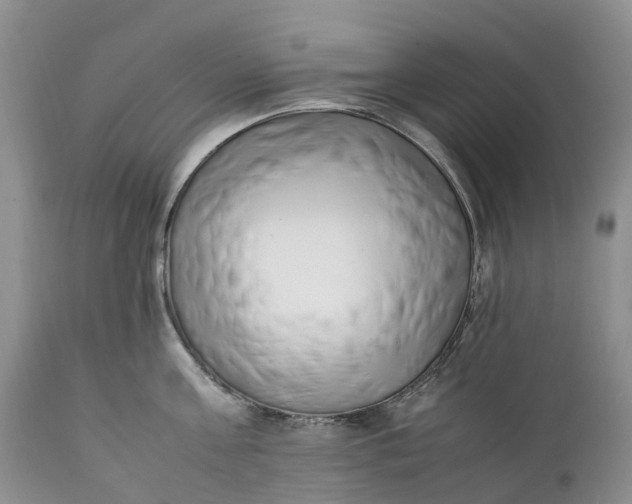 X0000111390811200907241332