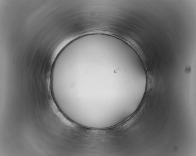 X0000111390812200907241332