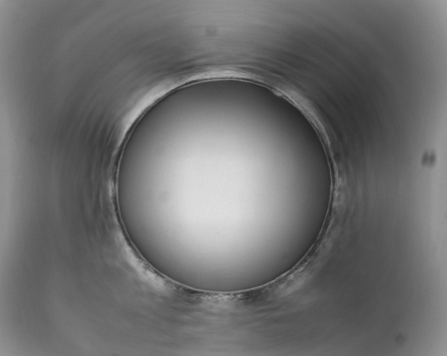 X0000111390813200907241332