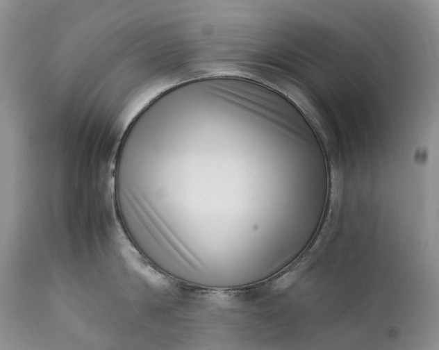 X0000111390814200907241332