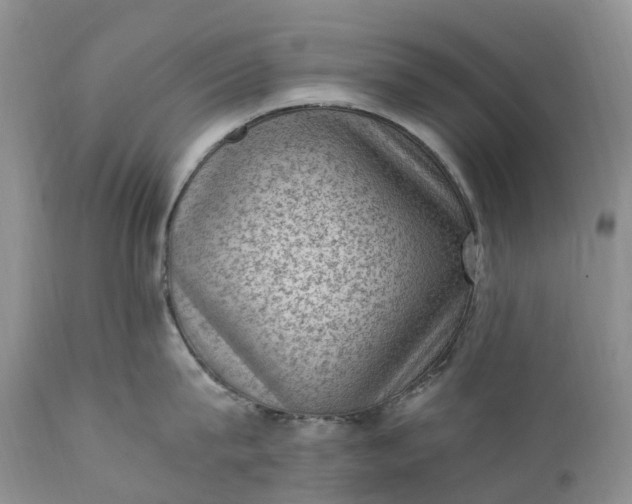 X0000111390815200907241332