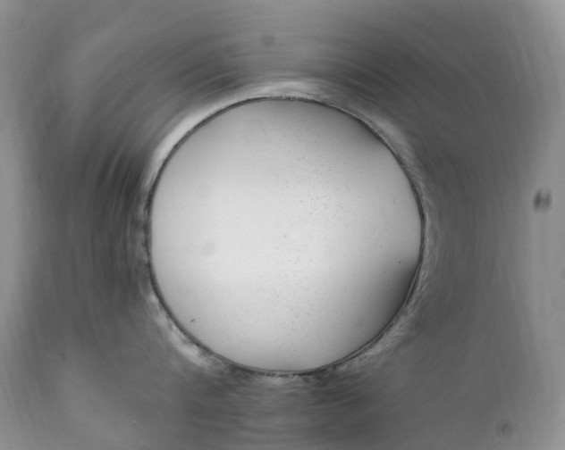 X0000111390816200907241332