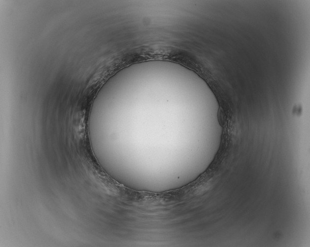 X0000111390818200907241331