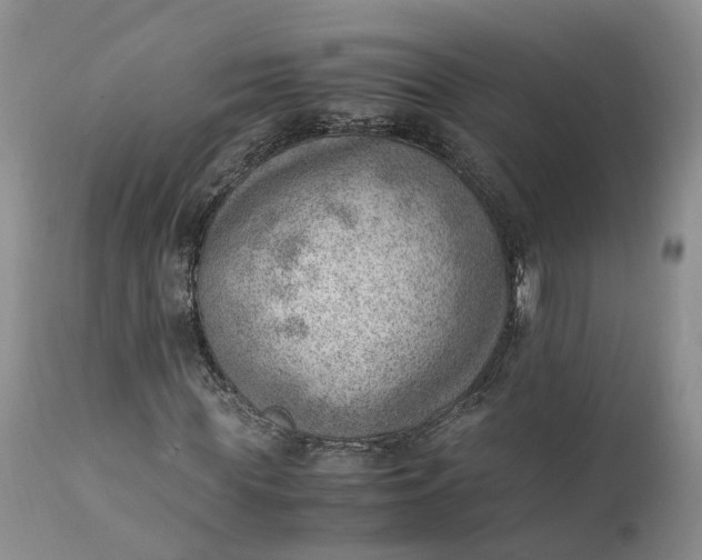 X0000111390819200907241331