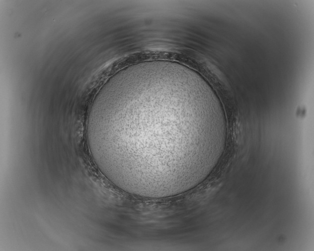 X0000111390821200907241331