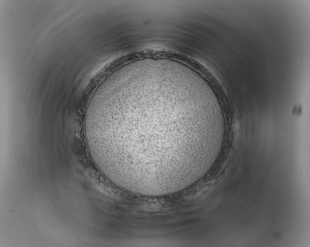 X0000111390823200907241331