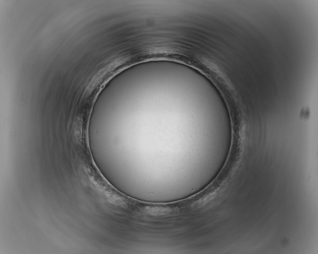 X0000111390825200907241331