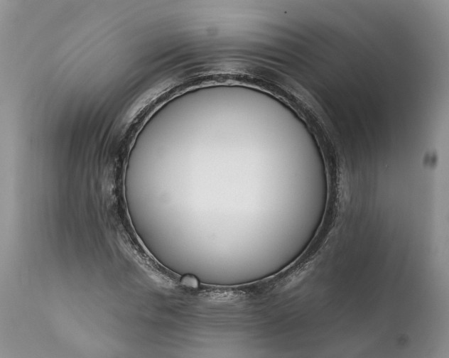 X0000111390826200907241331