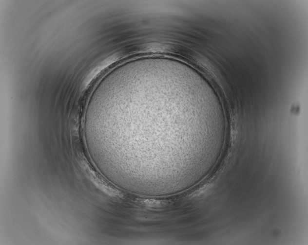 X0000111390827200907241331