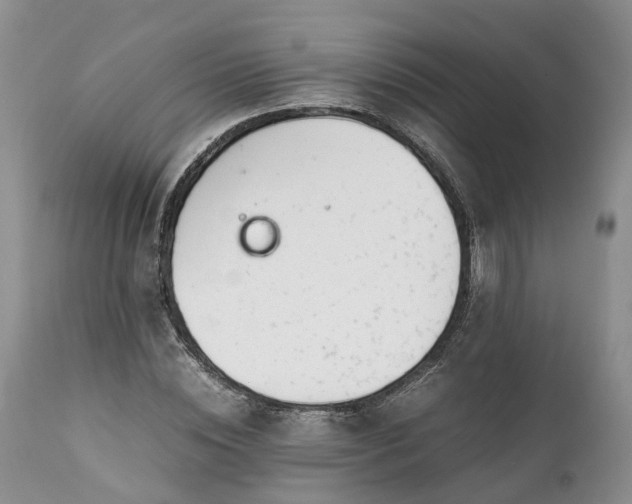 X0000111390828200907241331