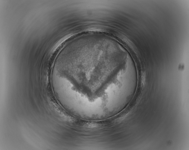 X0000111390829200907241331