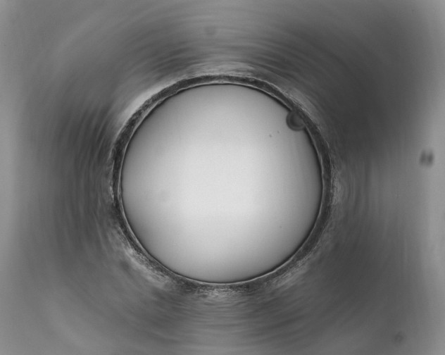 X0000111390830200907241331