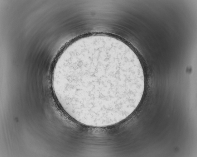 X0000111390832200907241332