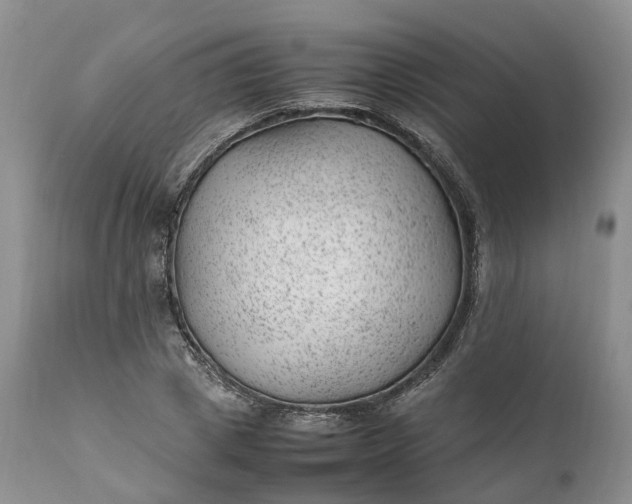 X0000111390833200907241332