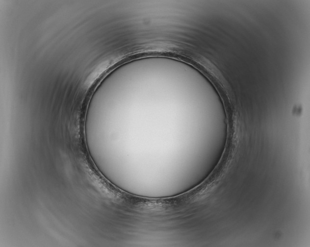 X0000111390834200907241332