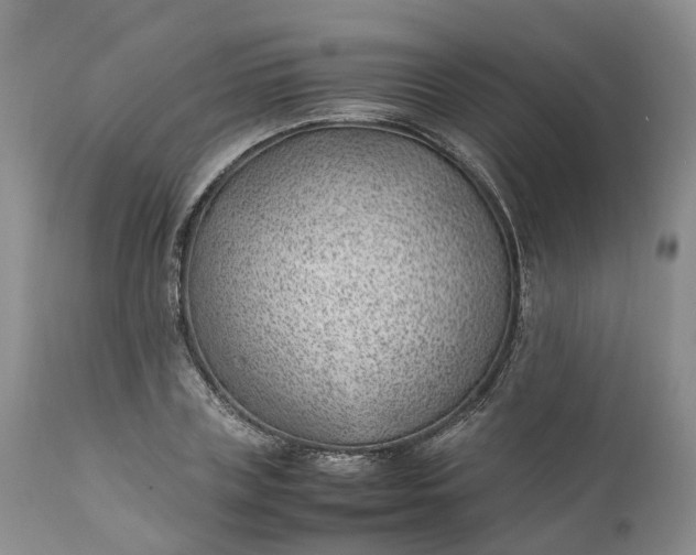 X0000111390835200907241332