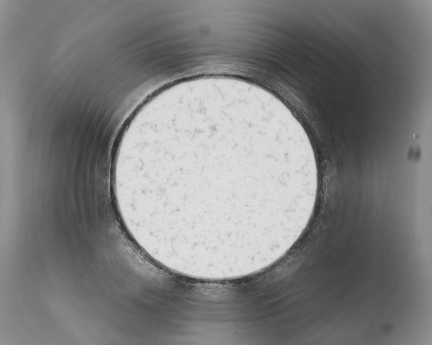 X0000111390836200907241332