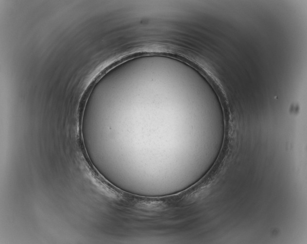 X0000111390837200907241332