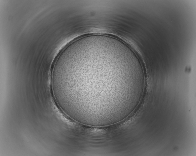 X0000111390839200907241332